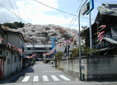 春の大手門